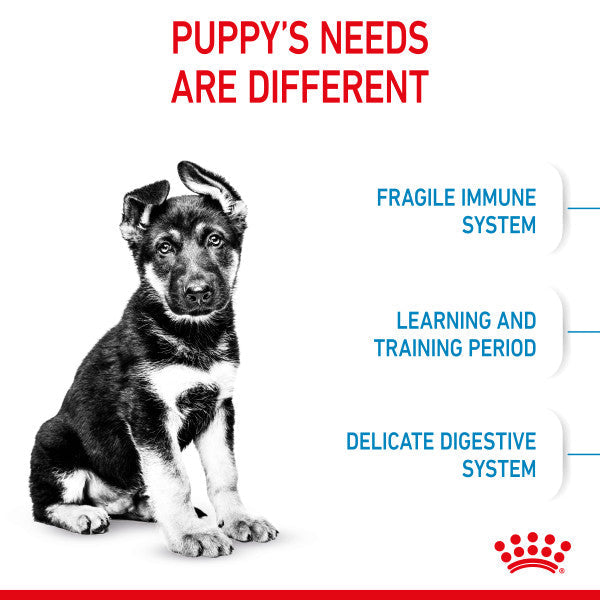 Royal Canin Maxi Puppy Dry Dog Food