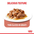 Load image into Gallery viewer, Royal Canin Light Weight Care Adult Wet Cat Food
