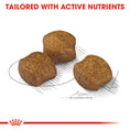 Load image into Gallery viewer, Royal Canin Medium Dental Care Adult Dry Dog Food
