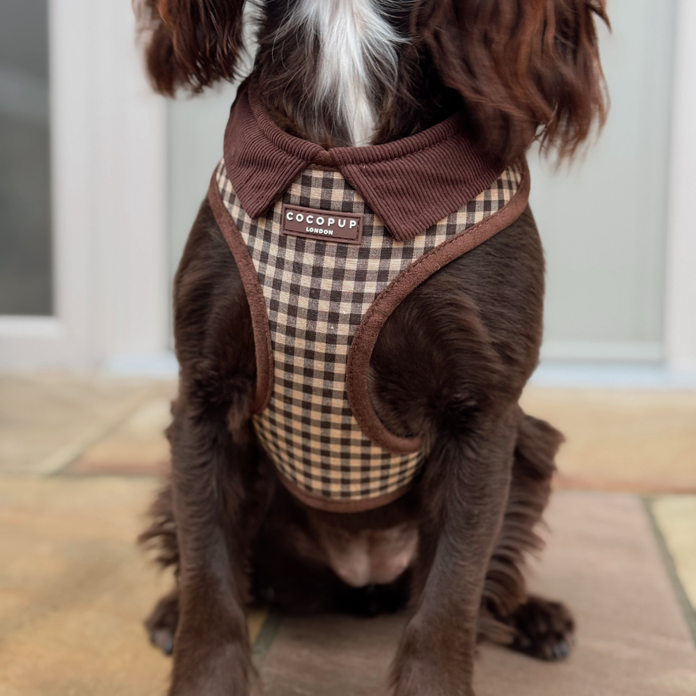 Cotswolds Check Adjustable Neck HARNESS: L