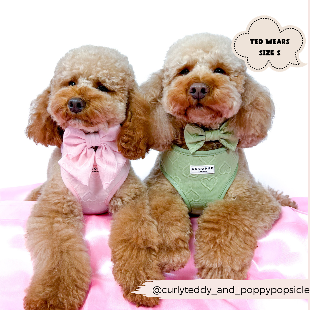 Luxe Adjustable Neck Harness - Baby Pink Heart: XS