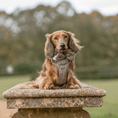 Load image into Gallery viewer, Bow Tie - Colour Drops - Heritage Plaid

