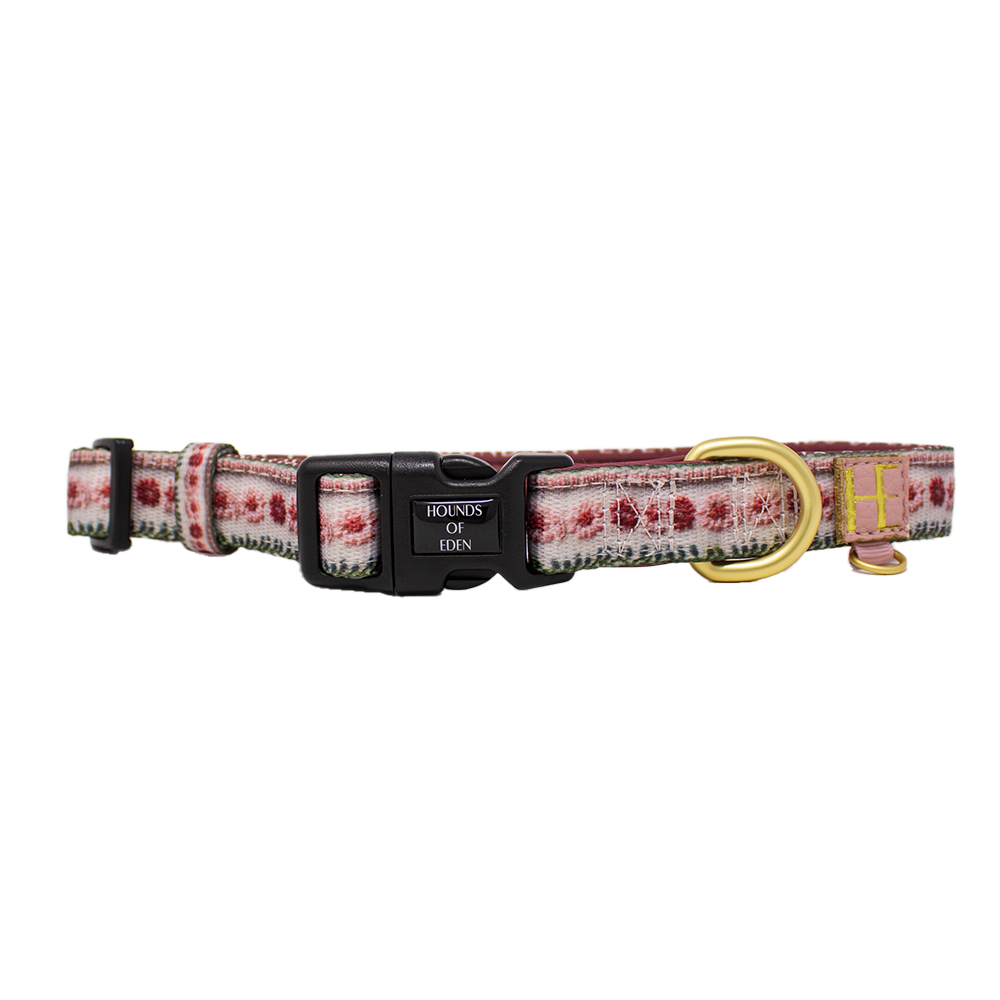 Bella's Jumper Dog Collar + Tag Holder: Large