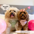 Load image into Gallery viewer, Luxe Adjustable Neck Harness - Baby Pink Heart: S
