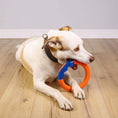 Load image into Gallery viewer, Astrodog Ring Interactive Orbit
