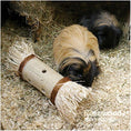 Load image into Gallery viewer, Rosewood Loofa Toss 'n' Treat Roller
