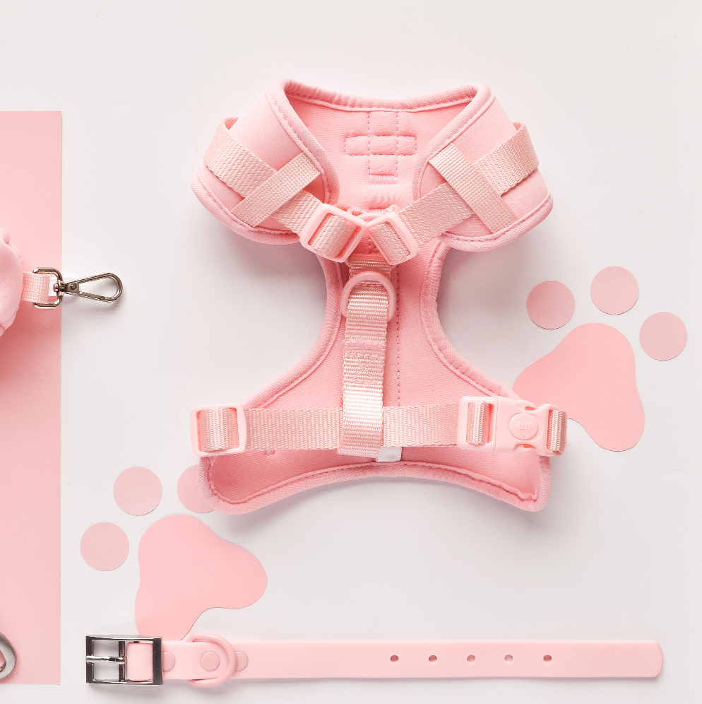 NAKD Adjustable Neck Harness - Candyfloss: XS