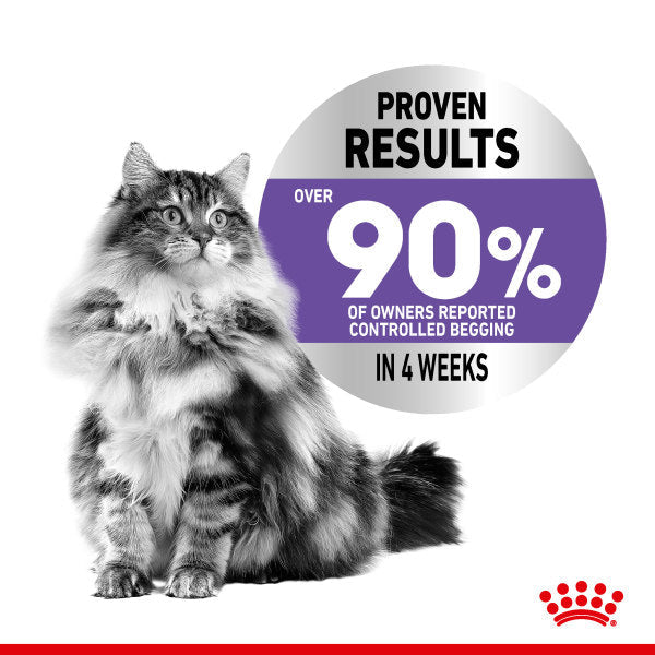 Royal Canin Appetite Control Care Adult Dry Cat Food