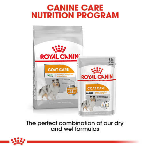 Royal Canin Coat Care Wet Pouches Adult Dog Food