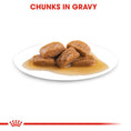 Load image into Gallery viewer, Royal Canin Maxi Adult in Gravy Wet Dog Food
