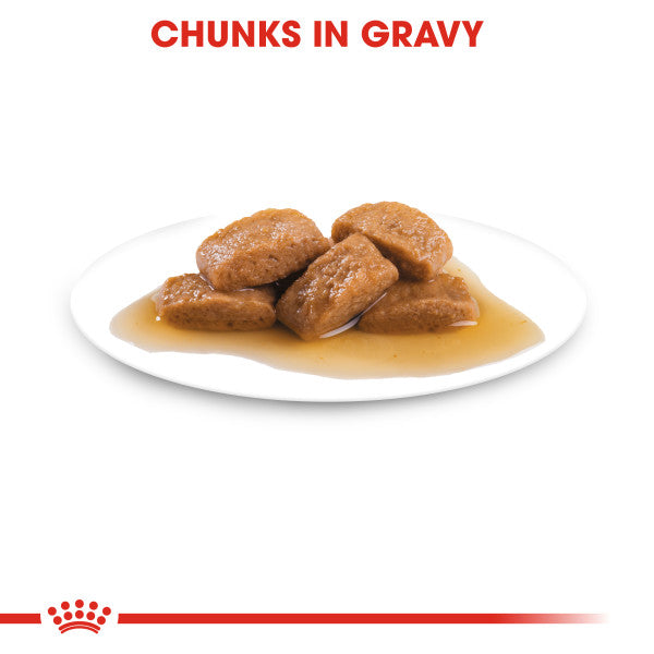 Royal Canin Maxi Adult in Gravy Wet Dog Food