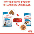 Load image into Gallery viewer, Royal Canin Maxi Dry Puppy Food 3kg
