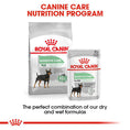 Load image into Gallery viewer, Royal Canin Digestive Care Wet Pouches Adult Dog Food
