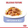 Load image into Gallery viewer, Royal Canin Appetite Control Care in Jelly Adult Wet Cat Food
