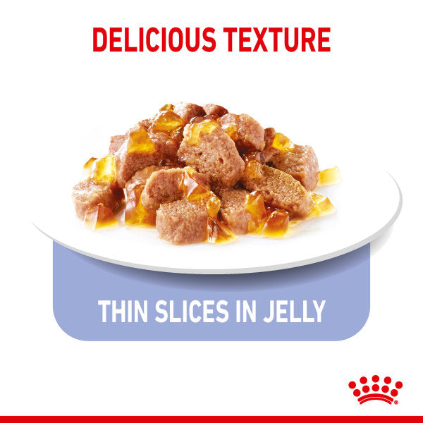 Royal Canin Appetite Control Care in Jelly Adult Wet Cat Food