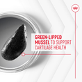 Load image into Gallery viewer, Royal Canin Dog Supplement for Joint & Ageing Soft Chews  240g
