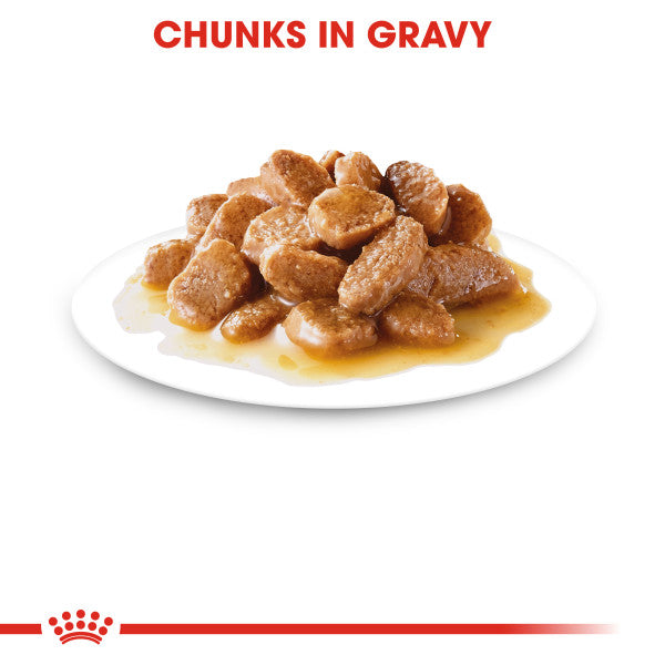 Royal Canin Mini Ageing 12+ Senior in Gravy Wet Dog Food