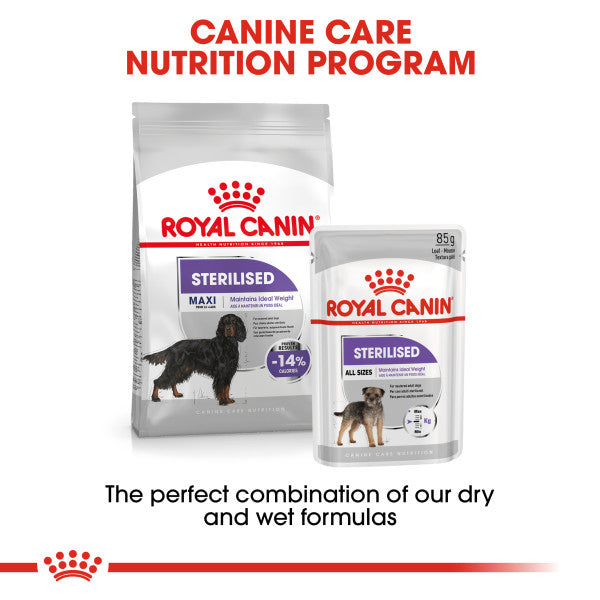 Royal Canin Mini Dental Care Adult Dry Dog Food