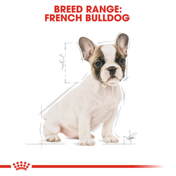 Royal Canin French Bulldog Puppy Dry Food