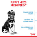 Load image into Gallery viewer, Royal Canin Maxi Puppy Dry Dog Food
