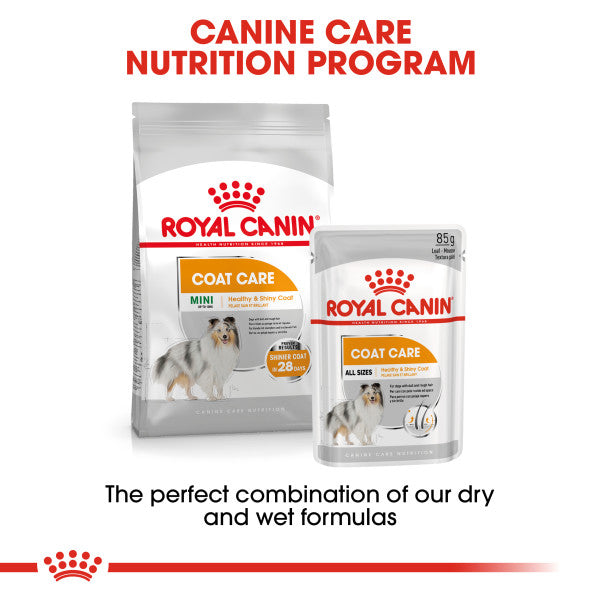 Royal Canin Coat Care Adult Dry Dog Food