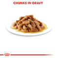 Load image into Gallery viewer, Royal Canin Medium Puppy in Gravy Wet Food
