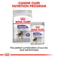 Load image into Gallery viewer, Royal Canin Mini Sterilised Care Adult Dry Dog Food

