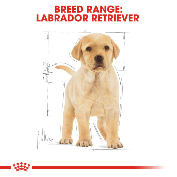 Royal Canin Labrador Retriever Puppy Dry Food