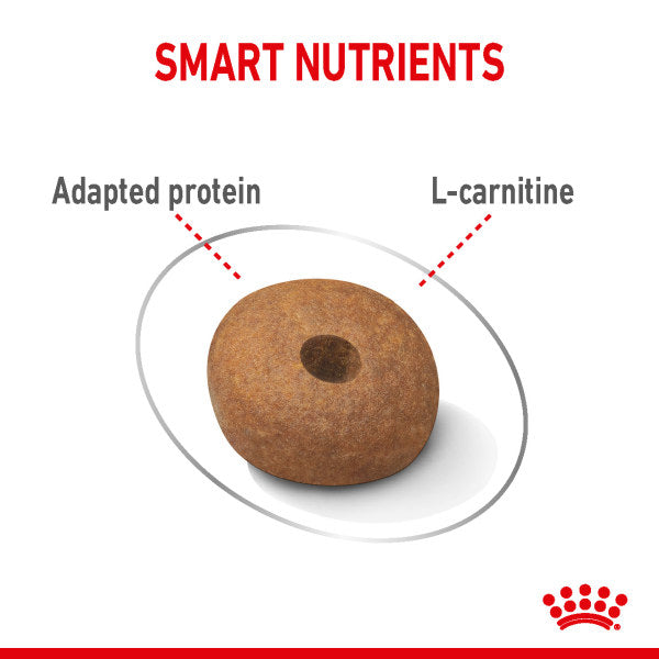 Royal Canin Medium Light Weight Care Adult Dry Dog Food