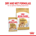 Load image into Gallery viewer, Royal Canin Pomeranian Adult Dry Dog Food
