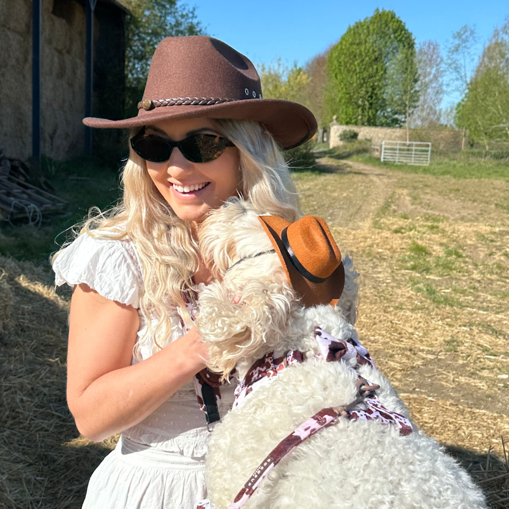 Rodeo Pup Dog Hat: Medium
