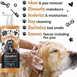 Bugalugs Stinky Shampoo
