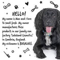 Load image into Gallery viewer, Bugalugs Stinky Shampoo
