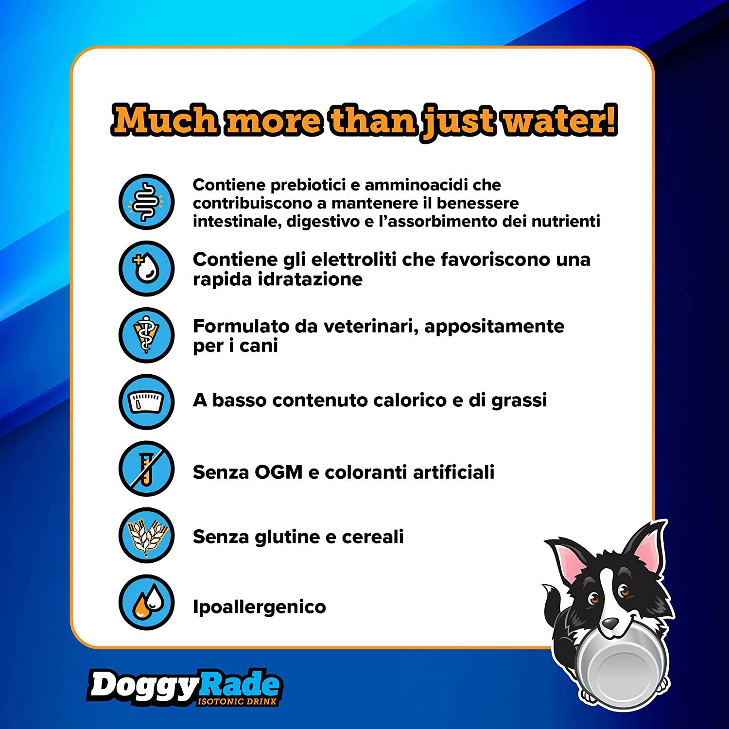 DoggyRade Isotonic Drink