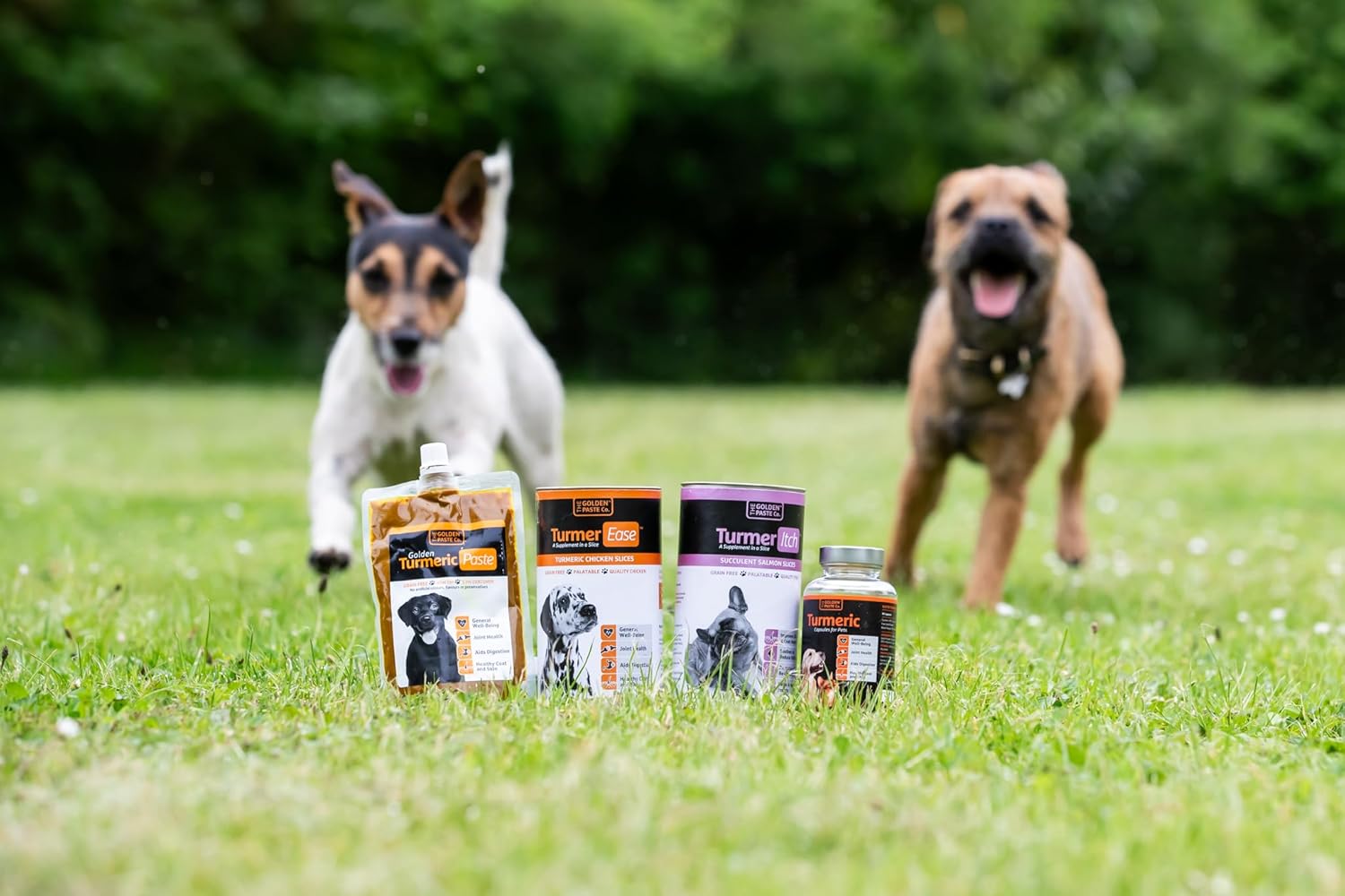 Golden Paste Co. Turmeric Capsules for Dogs & Cats 90 Pack – Joint & Health Support