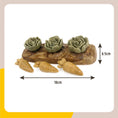 Load image into Gallery viewer, Rabbit Veggie Burst Salad Patch Rosewood
