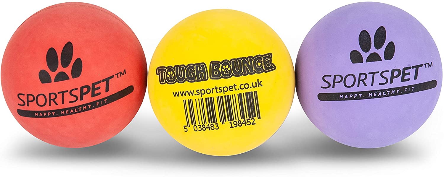 Sportspet Tough Bounce Balls For Dogs