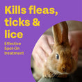 Load image into Gallery viewer, Bob Martin Spot On For Small Animals
