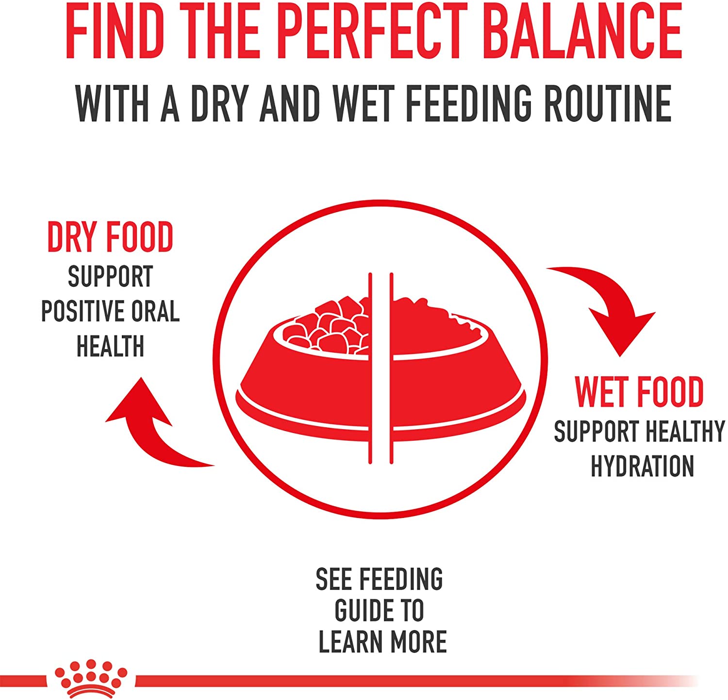 Royal Canin Shih Tzu Adult Wet Dog Food – Loaf
