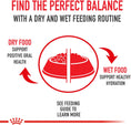Load image into Gallery viewer, Royal Canin Pomeranian Adult in loaf Wet Dog Food
