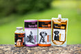 Load image into Gallery viewer, Golden Paste Co. Turmeric Capsules for Dogs & Cats 90 Pack – Joint & Health Support
