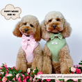 Load image into Gallery viewer, Luxe Adjustable Neck Harness - Baby Pink Heart: M
