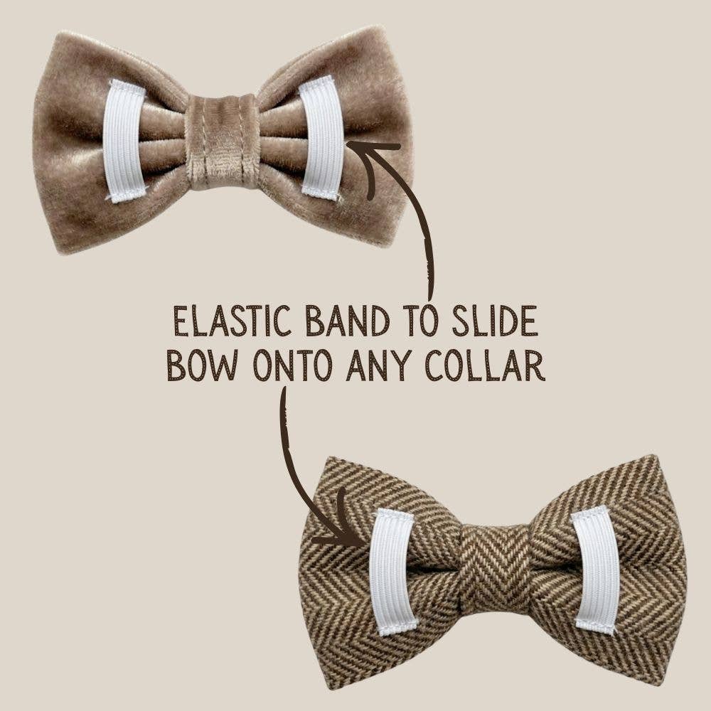 Brown Tweed and Velvet Bow Set: S