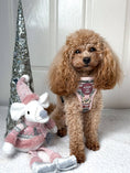 Load image into Gallery viewer, Bella's Jumper Dog Collar + Tag Holder: Large
