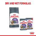 Load image into Gallery viewer, Royal Canin Appetite Control Care in Gravy Adult Wet Cat Food
