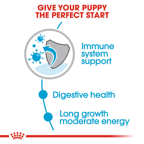 Royal Canin Maxi Puppy in Gravy Wet Food