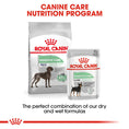 Load image into Gallery viewer, Royal Canin Maxi Digestive Care Adult Dry Dog Food
