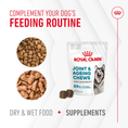 Load image into Gallery viewer, Royal Canin Dog Supplement for Joint & Ageing Soft Chews  240g
