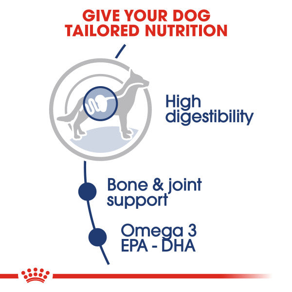Royal Canin Maxi Adult in Gravy Wet Dog Food