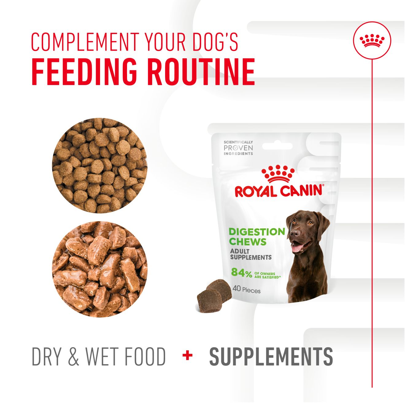 Royal Canin Dog Supplement for Digestion Soft Chews  160g
